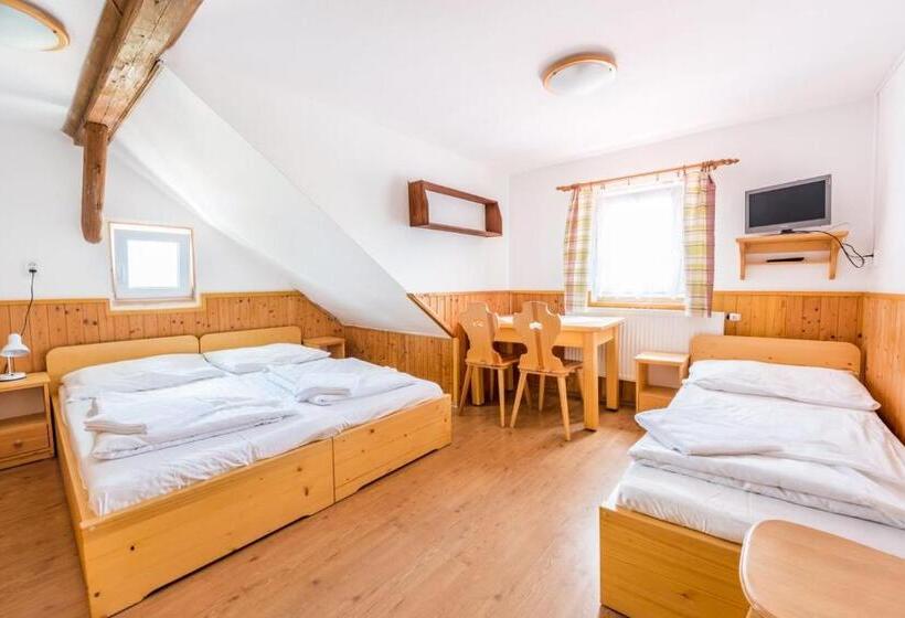 ペンション Penzion černý Vlk