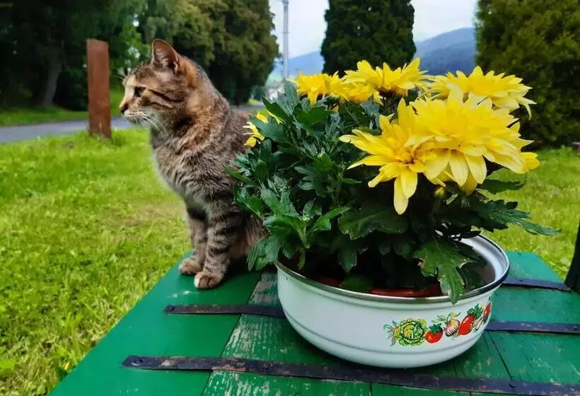 Majatalo Penzion U Hradilů