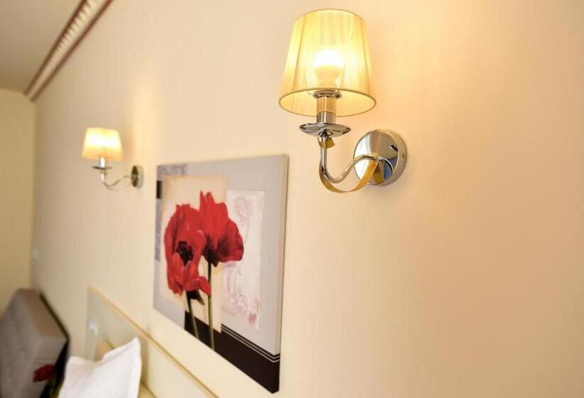 پانسیون Top Royal Central Brasov