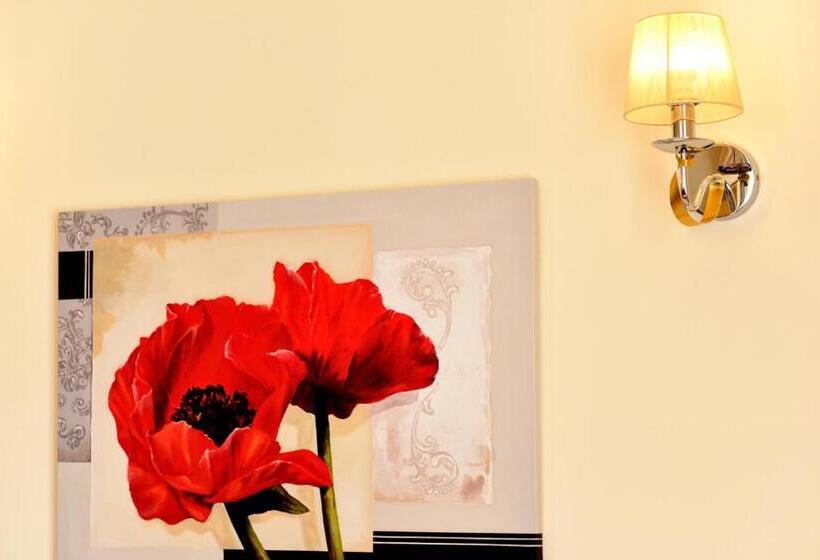 پانسیون Top Royal Central Brasov