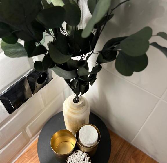 Studio Classé Haut De Gamme Metz Gare