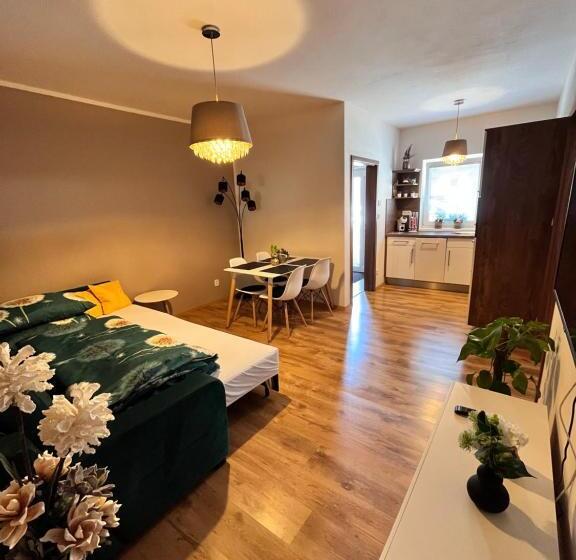 Apartmány Koněvova