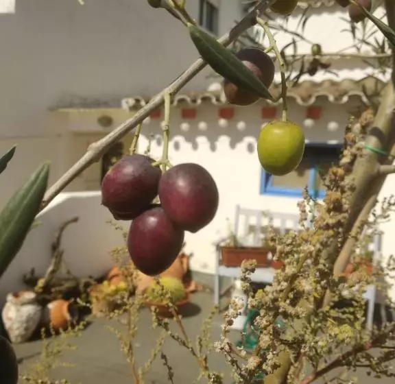 Bea S Bed & Breakfast