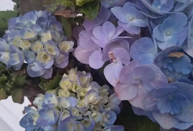 Bea S Bed & Breakfast