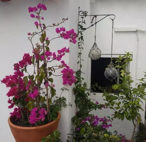 Bea S Bed & Breakfast