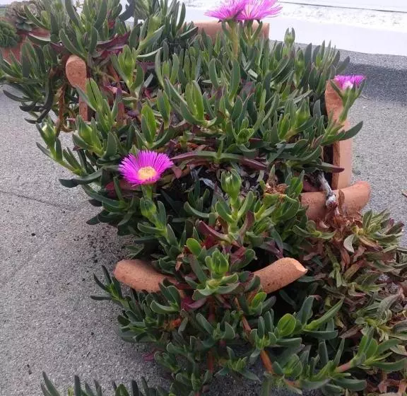 Bea S Bed & Breakfast