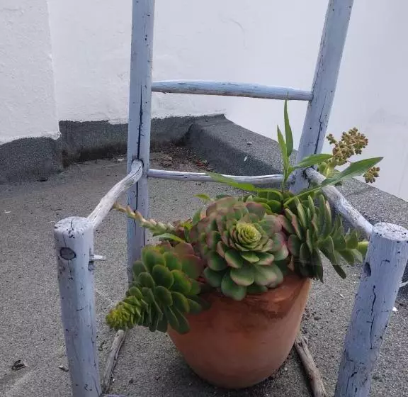 Bea S Bed & Breakfast