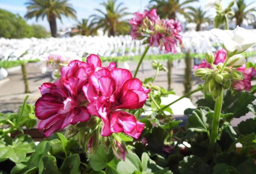 Bea S Bed & Breakfast