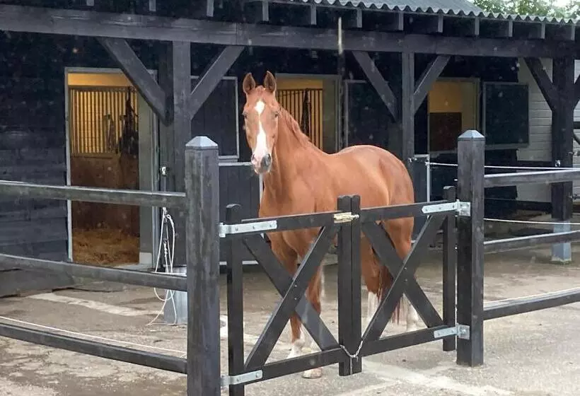 Domaine De La Bergerie