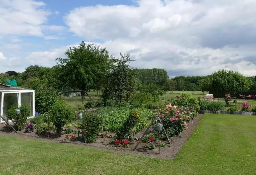 Ferienwohnung Zur Schmiede Objekt Id 11824 8