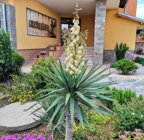 호텔 хотел александър