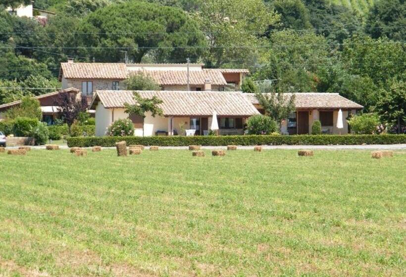 Отель Agriturismo Casale Del Contadino