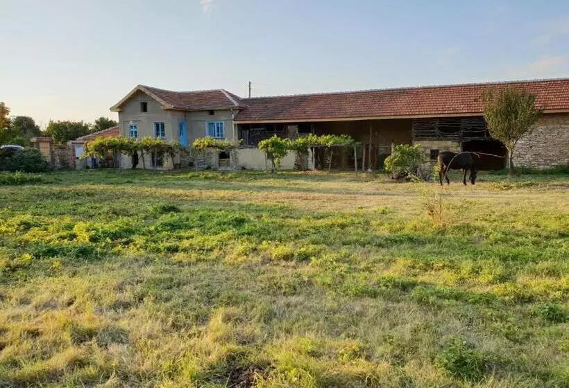 Majatalo онгъл запад