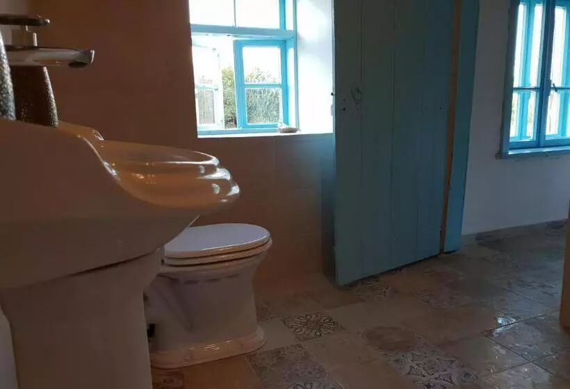 Majatalo онгъл запад