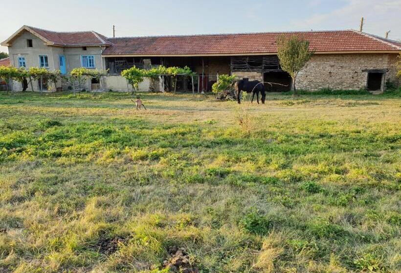 Пансион онгъл запад