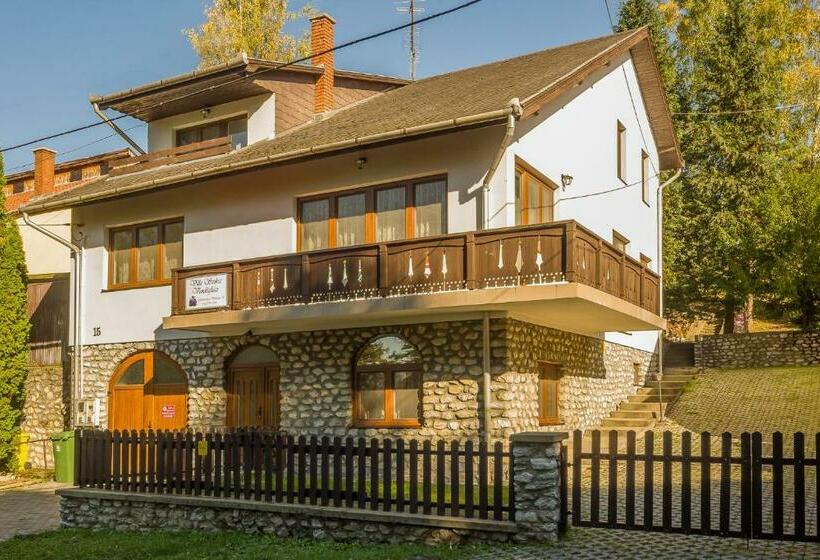 펜션 Villa Szilva Vendégház