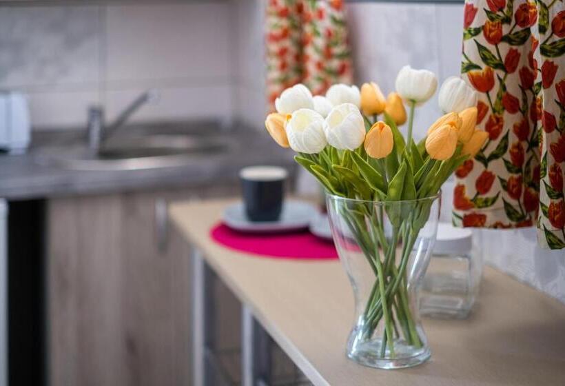 Szürke Vendégház Balatonkenesén