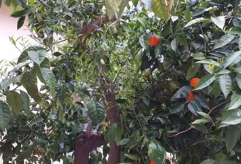 Appartamento B&b Domus Pompei