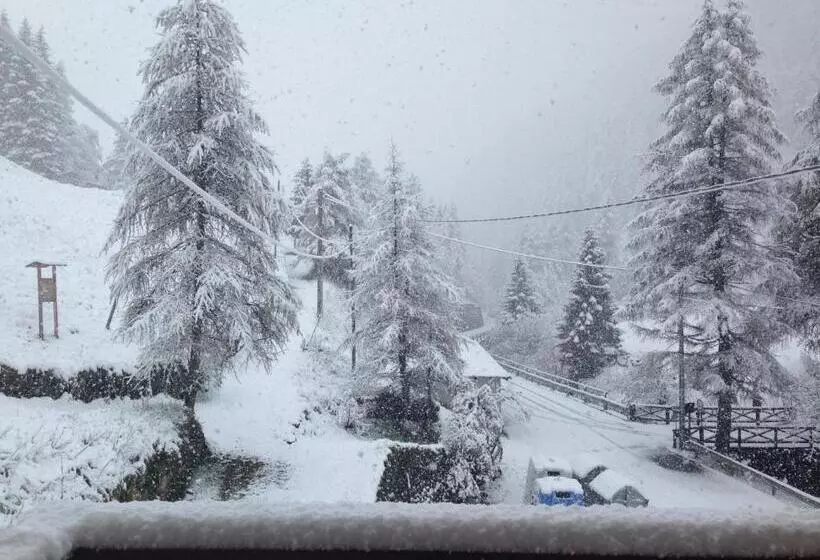 Appartamento Ponte Di Legno   Parco Dello Stelvio