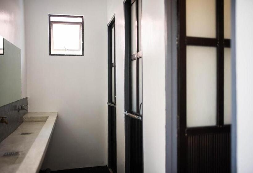 Avisala Hostel Coron