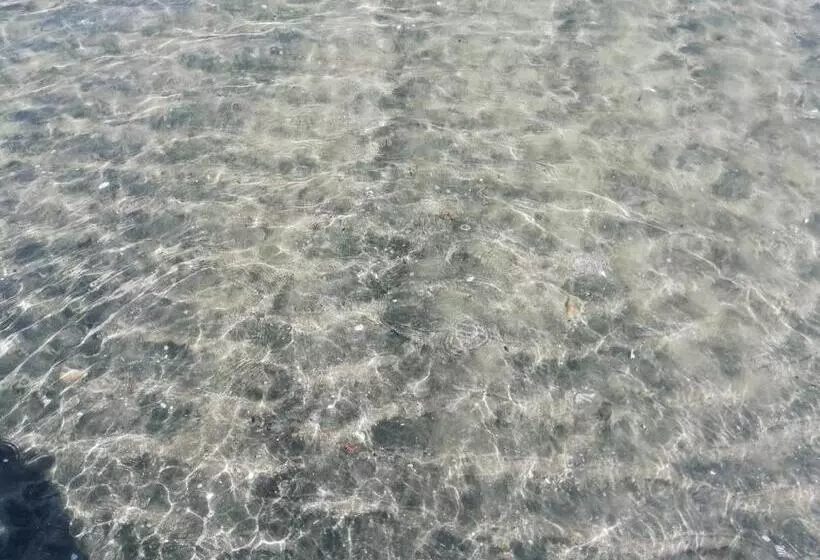 Aamiaismajoitus (B&B) Flamingo Rooms