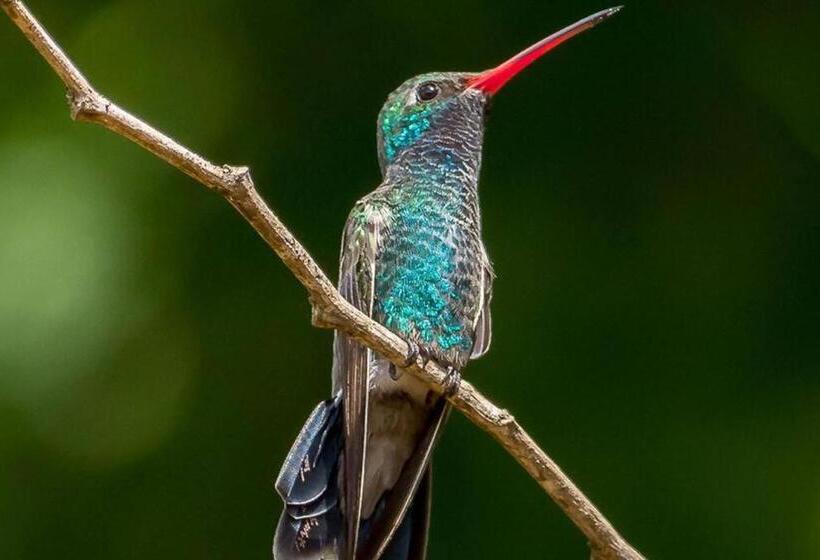 Departamento Y Playa Con Servicios Grand Luxe