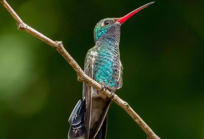 Departamento Y Playa Con Servicios Grand Luxe