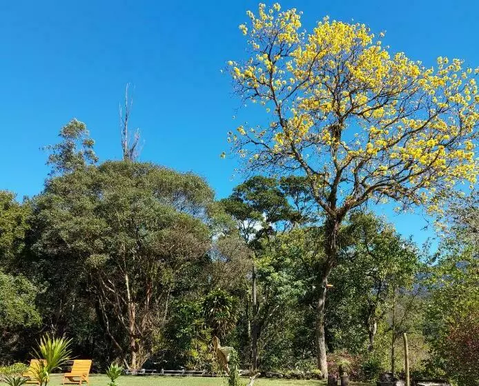 ホテル Pousada Polessas