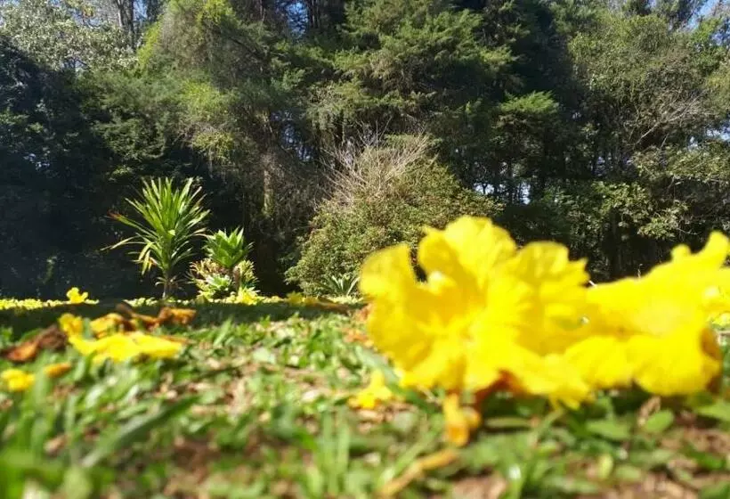 ホテル Pousada Polessas