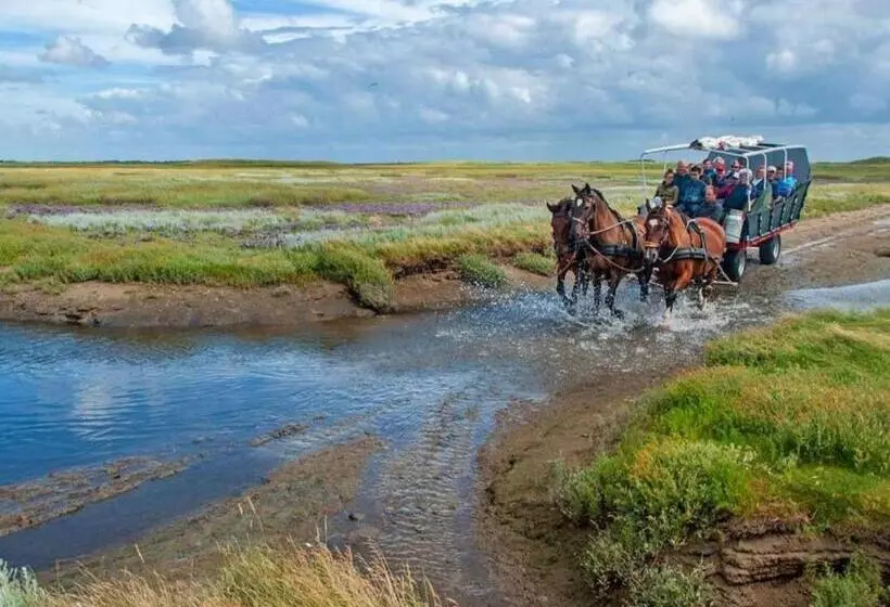 Jonas   Luxe Appartement Naast De Duinen