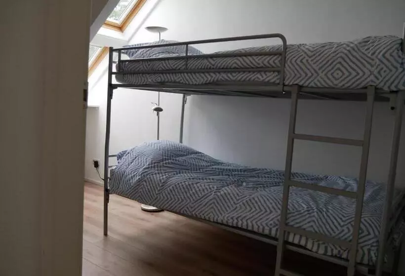 Jonas   Luxe Appartement Naast De Duinen