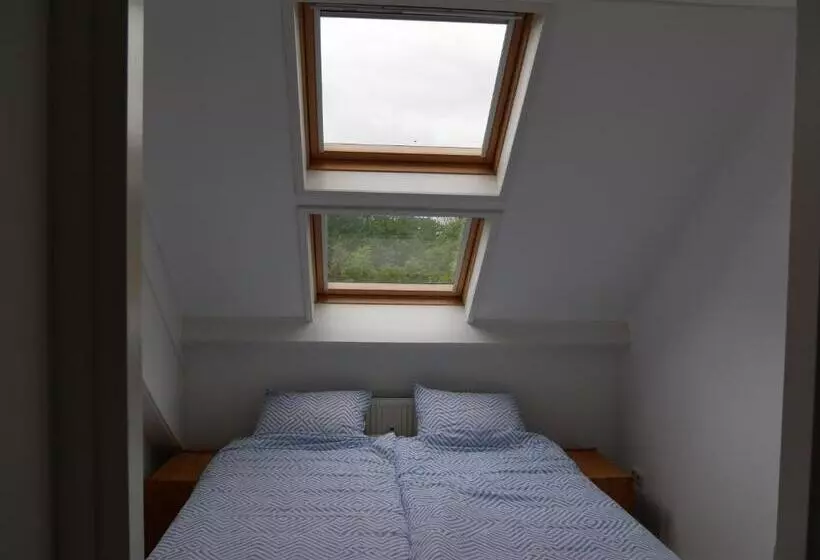 Jonas   Luxe Appartement Naast De Duinen