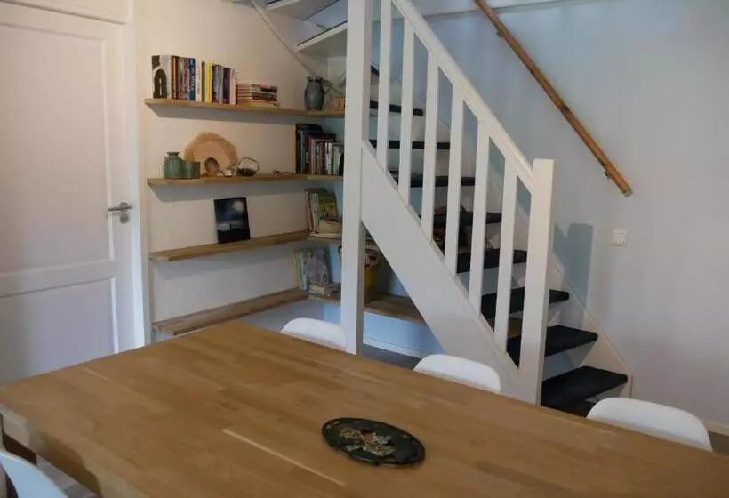 Jonas   Luxe Appartement Naast De Duinen