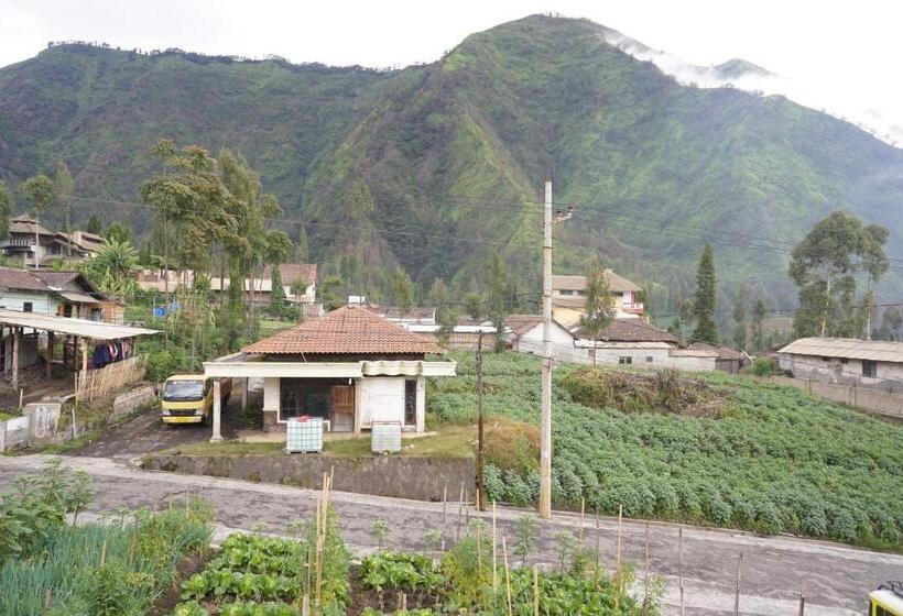 Panzió Homestay Lereng Bromo