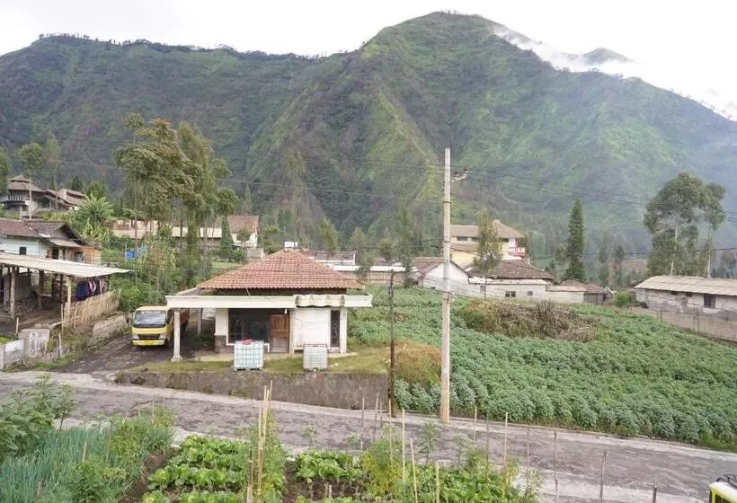 Majatalo Homestay Lereng Bromo