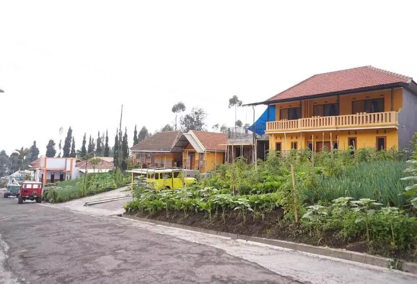 Majatalo Homestay Lereng Bromo