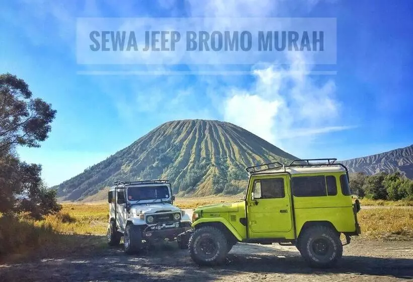 Majatalo Homestay Lereng Bromo