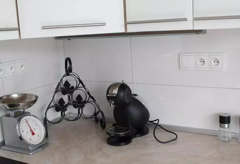 Majatalo Vila Apalucha49 čeladná   12 Osob