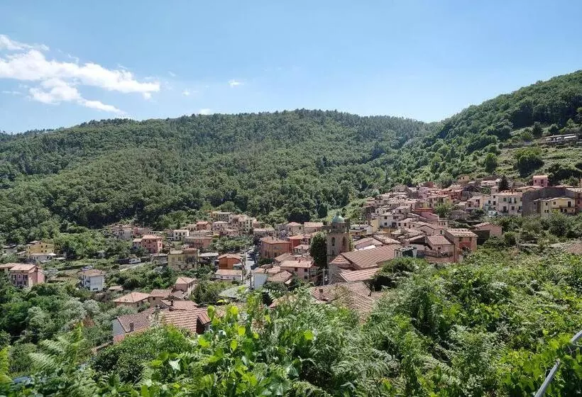 Acciuga House