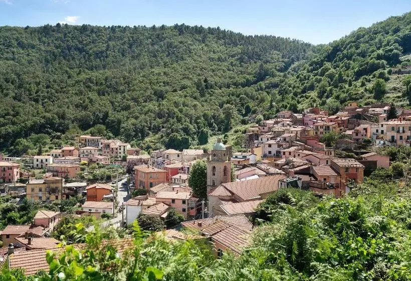 Acciuga House