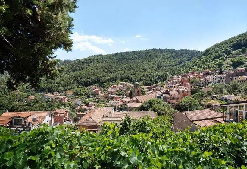 Acciuga House