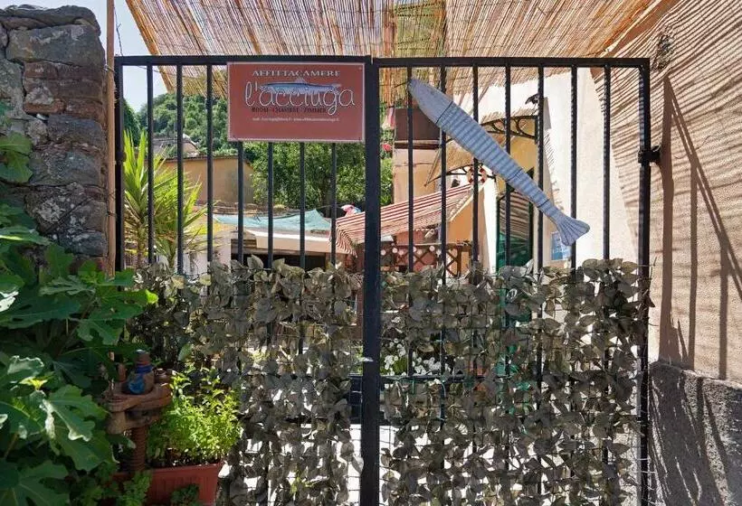 Acciuga House