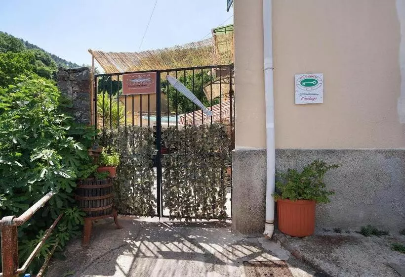 Acciuga House