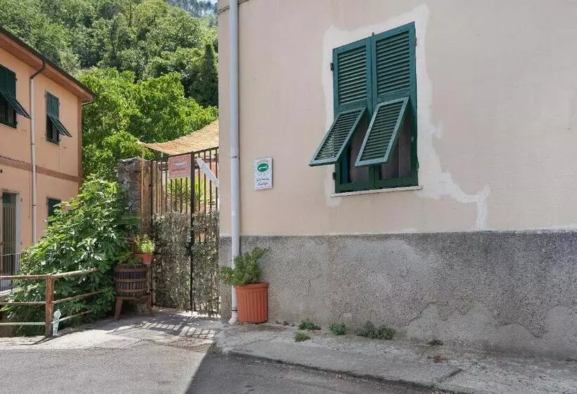 Acciuga House