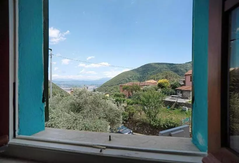 Acciuga House