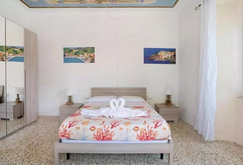 Acciuga House