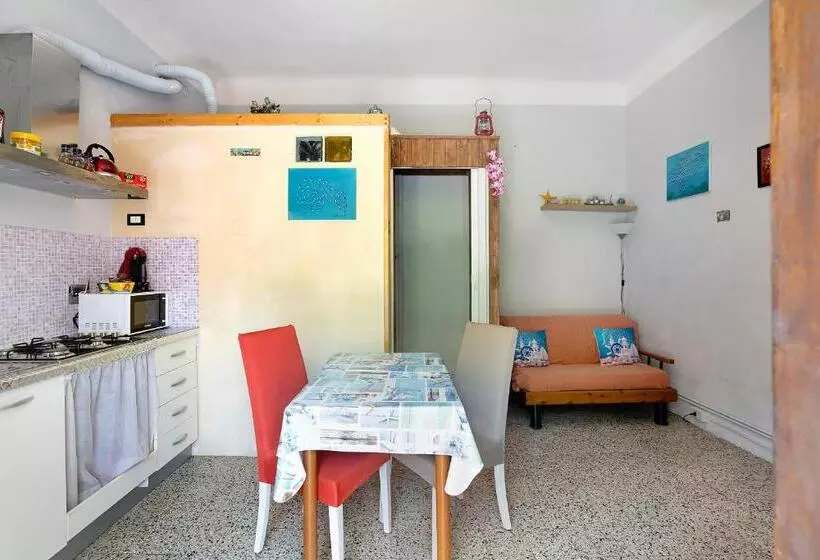 Acciuga House
