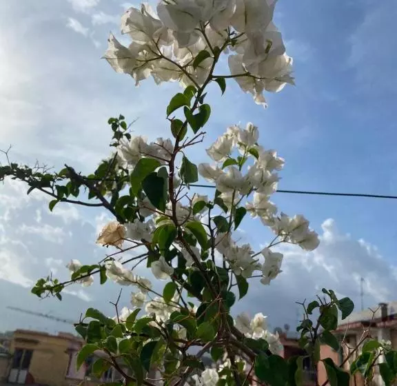 تختخواب و صبحانه Pompei Terafi Home