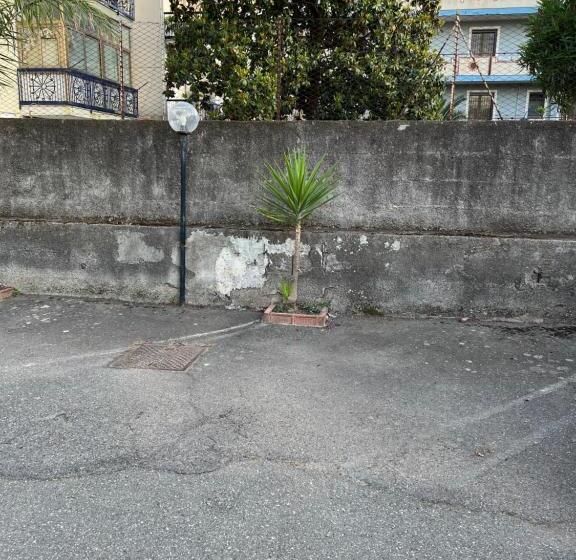 Casa Vacanza Tropicana Home