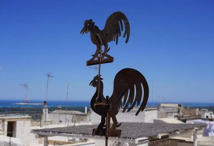 Casabella   Con Terrazza Panoramica